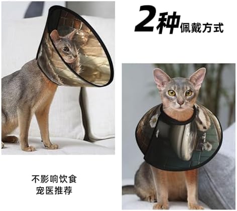 Custom Pet Cones - Unique Design Cat & Dog Cone, Collar for Post-Surgery Recovery, Adjustable Neck Smart Hedgehog Large