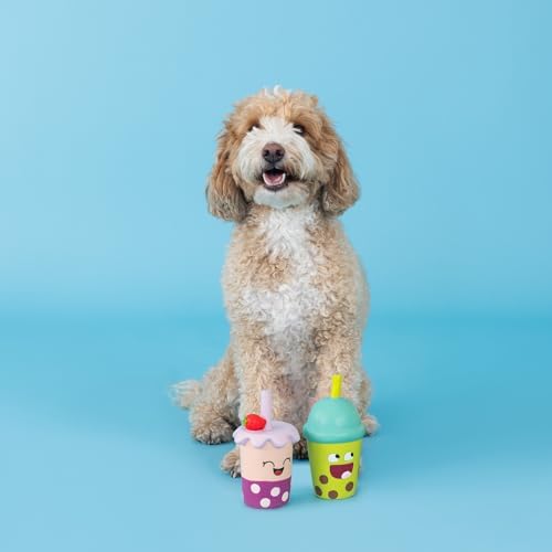 Fringe Studio Dog Toy Set, Best-Teas, 2Pc Mini, Latex, Pet Shop Collection (368012)