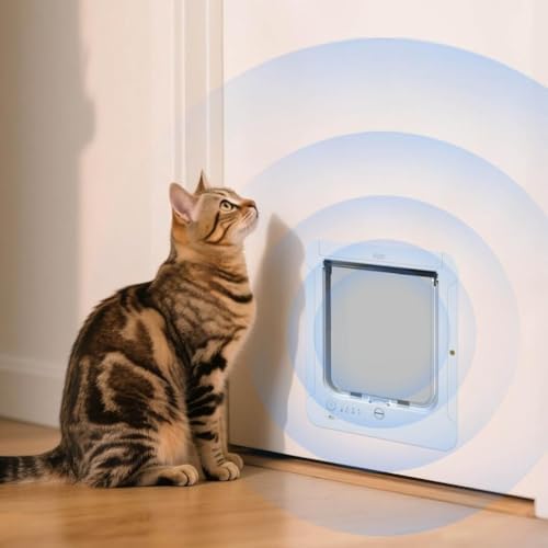 Cat Flap Door, Smart Cat Door for Interior & Exterior, Cat Flap Doors a Small Open Door for a Crate, Easy Installation Pet Doors for Cats Houses, Playpens, Cats delivery Room, etc. (White)