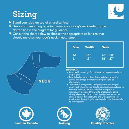 RC Pets All Webbing Training Collar M Gemstone
