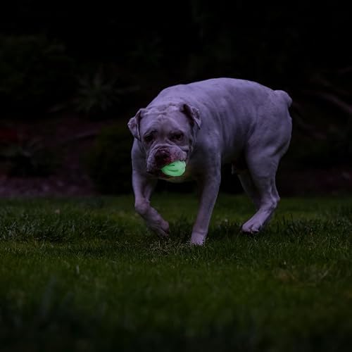 Chuckit! Air Glow Fetch Ball Dog Toy, Medium 2.5in, 2 Pack