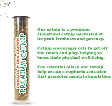 Meowijuana Jump 'n' Jamb Chameleon Cat Toy and Catnip Blend | High Potency