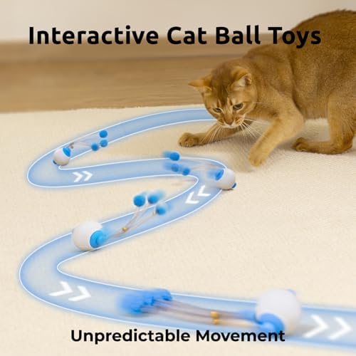 Cat Toys for Indoor Cats, Interactive Cat Toy Ball with Pom-Pom Tails, Automatic Cat Toy Self Play Exercise Toy to Relieve Boredom for Kitten & Adult Cats (Blue)
