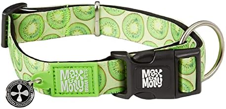 Max & Molly Smart ID Dog Collar with Gotcha! QR Safety Tag and Custom Pet Profile, Soft Padded Neoprene, Waterproof, Kiwi, Medium (13-21")