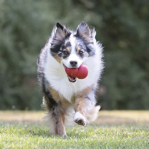 KONG Classic Stuffable Dog Toy, Natural Rubber Chew, for XX-Large Dogs | Treat-Filling Fetch & Chew Toy with Erratic Bounce, Made from KONG Durable Natural Rubber for Extended Playtime