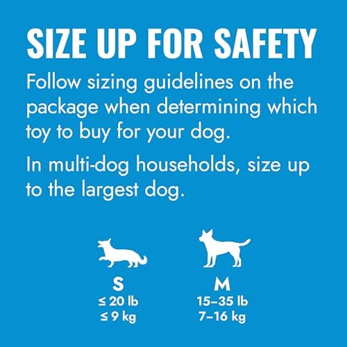KONG Puppy Goodie Bone, Natural Rubber Chew, for Medium Puppies, Pink