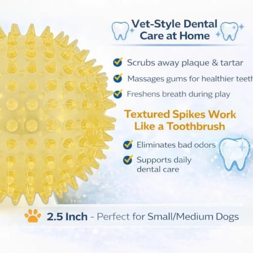 Squeaky Spiky Dog Balls for Teeth Cleaning & Gum Massage 2.5 Inch Small Medium Dogs Yellow | Spiny TPR Rubber Chew Toys for Fetch Play Interactive Bouncy Dental Balls BPA Free Nontoxic Floats - 3 Pack