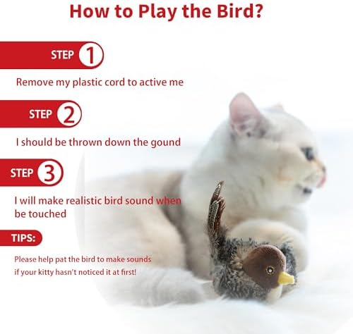 PETGEEK Gigwi Bird Cat Toy Simulated Chirping Bird Cat Toy, Fake Bird Cat Toys for Indoor Cats, Melody Chaser Cat Toys with Hanging Loop for Bored Indoor Adult Cats Kittens Interactive Play (Bird)