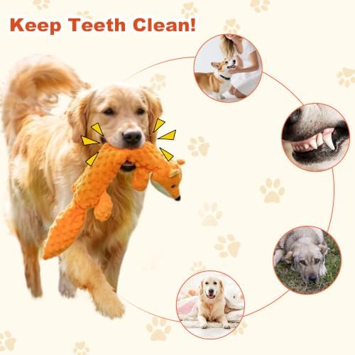 5Pack Squeaky Dog Toys, No Stuffing Plush Dog Toys to Keep Them Busy, Crinkle Chew Toy for Large Medium Small Dogs, Interactive Stuffless Bundle Puppy Teething Toys