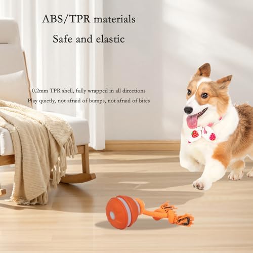 Interactive Dog Toys for Small Dogs – Peppy Pet Ball & Chase Buddy Dog Toy Active Rolling Puppy Toys to Keep Them Busy, Daily Training Interactive Puppy Toys