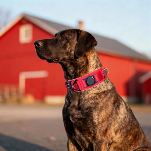 2“ Tactical Dog Collar with Airtag Holder & Handle for Large Dogs (Red)