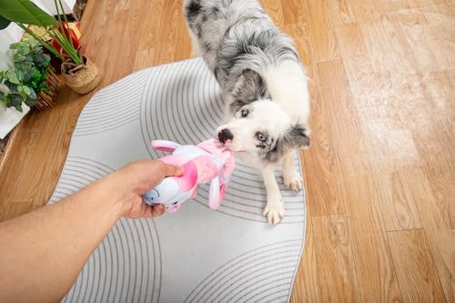 3-in-1 Squeaky Dog Toys for Chewers, for Small Medium Breed