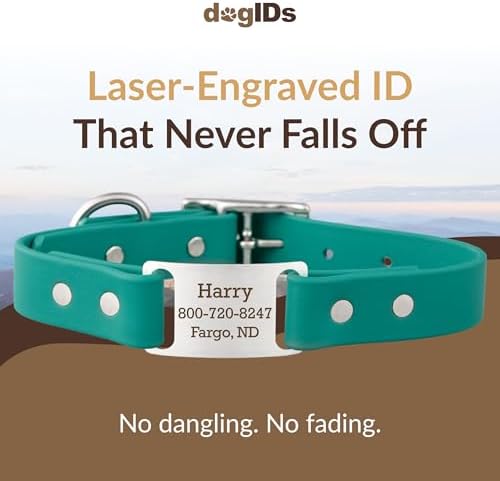 dogIDs Personalized Dog Collar – ScruffTag Custom Waterproof Biothane Dog Collar with Laser-Engraved Name, Durable & Odor-Resistant – USA Made | Teal, 1 in x 20 in (Fits Neck Sizes 18-22 in)