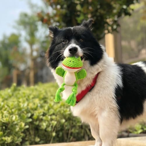 Plush Squeaky Knot Dog Toys, Interactive Chew Toys (Green Frog)