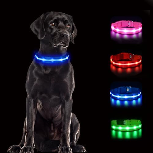 CHUKCHI LED Dog Collar Rechargeable,Waterproof Flashing Collar,Light Up Glow Collar, Adjustable Soft Safety Light Up for Small Medium Large Dogs Walking Camping at Night (Blue-S)