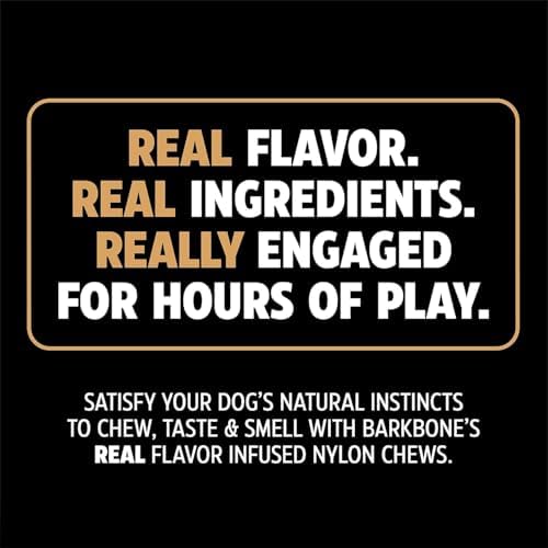 Pet Qwerks Dinosaur BarkBone Nylon Dog Chew, Bacon Flavor, Medium 8.5in
