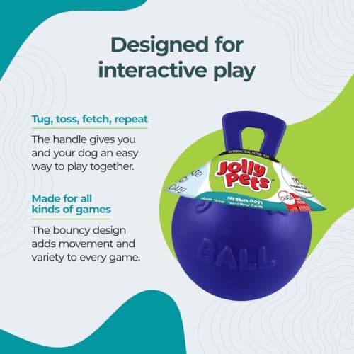 Jolly Pets Tug-n-Toss Dog Toy Ball with Handle, 8 Inches/Large, Blue