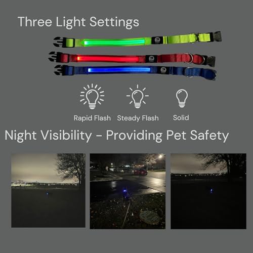 Light-Up Martingale Training Adjustable Dog Puppy Collar - REMIPET - Waterproof, LED Illuminated, USB Rechargeable, Reflective Safety, Durable, Nylon, Gift (Blue, Xtra-Large)