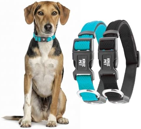 Dog Collar Bundle for Small Dogs (Width- 3/4", Neck - 10.5"-14.5") | Adjustable Padded Black & Turquoise Dog Collars with Heavy Duty O-Ring | Soft & Comfortable Fit for Large Dogs