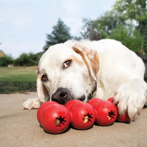 KONG Goodie Ribbon, Stuffable Natural Rubber Dog Toy, for Large Dogs
