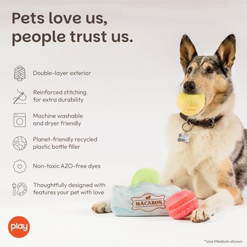 P.L.A.Y. Cute Plush Dog Toys - Coffee Shop Food Themed Durable Squeaker Chew Toy for Medium & Large Dogs - Machine Washable, Recycled Materials (Pup Cup Cafe Mutt-a-rons, Medium)