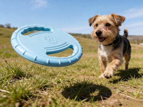 Dog Flying Disc for Pet Fun Sports Outdoor Toy for Lawn Beach, Upgraded