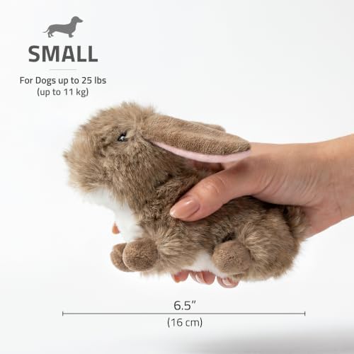 Playology Plush Bunny Dog Toy - Squeaky Dog Toy - Small, Carrot Scent