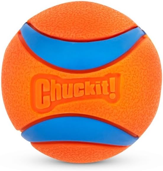Chuckit! Ultra Ball Dog Toy, Balls for Dogs to Fetch, Durable Rubber, Small 2-inch (Pack of 24)