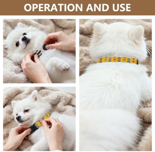 Cute Cartoon Otters Colorful Fish Cat Collar 2 Pack Cat Neck Collar Adjustable 10.6 to 17.1 Inches