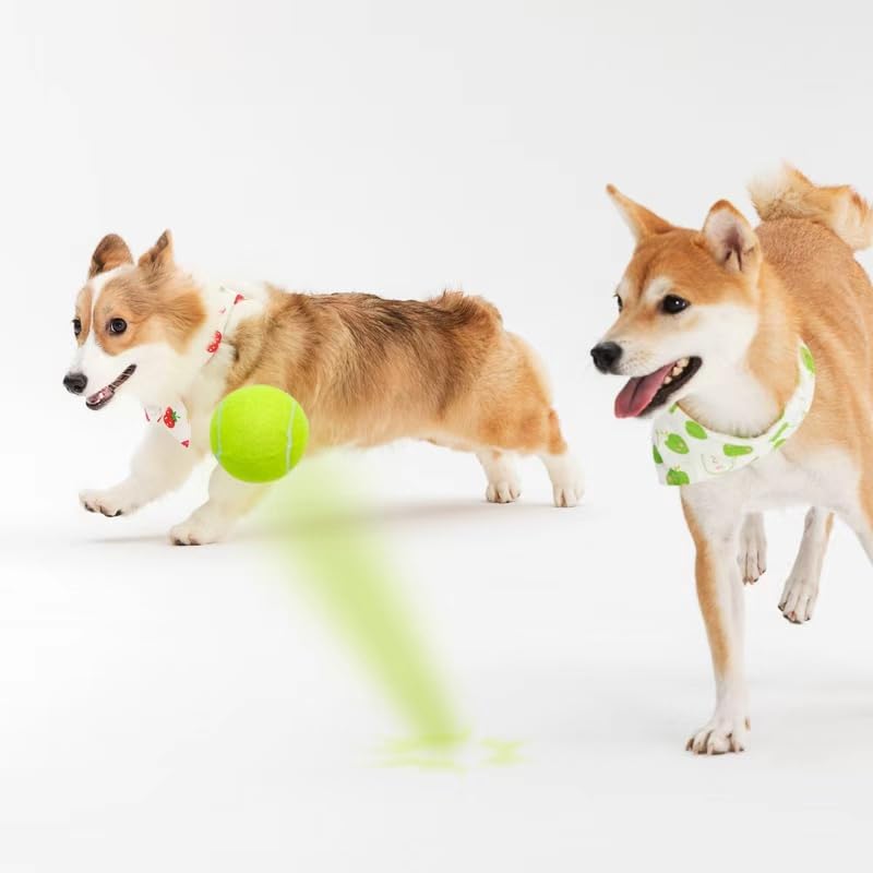 3-Pack Tennis Ball Dog Toys with Squeaker, Interactive Fetch Play for Pets 40 lbs and Over ，Training Balls for Indoor & Outdoor Exercise, 3.28-inch (Sound Ball, 18PCS)