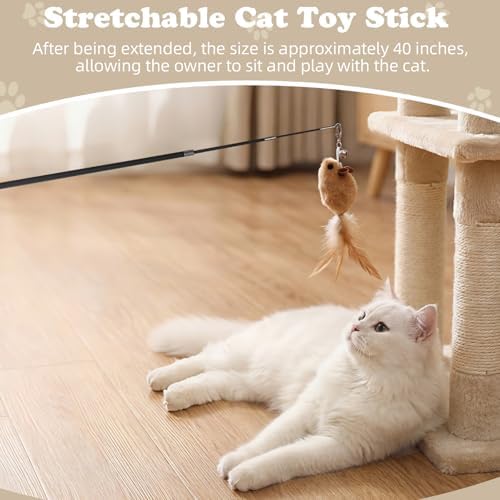 Leitee 18 Pcs Cat Wand Toy Interactive Feather, Bird Mouse Refills Wires