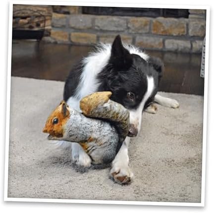 Doggijuana Squirrel & Juananip Bundle | Squeaky Refillable Plush Toy