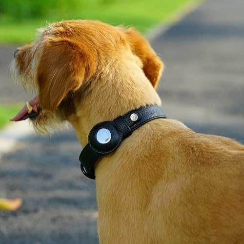 Blueberry Pet Microfiber Leather AirTag Dog Collar