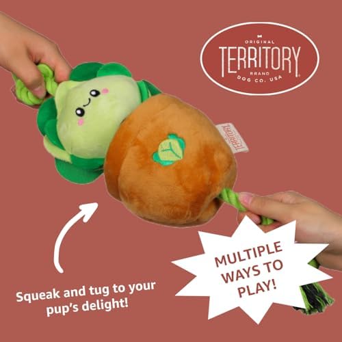 Territory Interactive Play Plush Treat-and-Tug Reward Toy for Dogs, Carrot