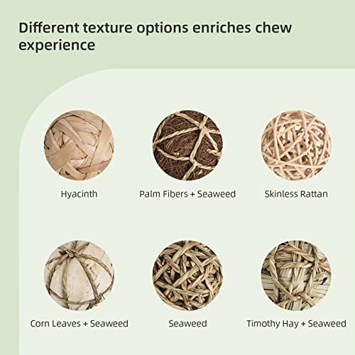 andwe Small Animals Play Activity Balls Rolling Chew Toys(Pack of 6)