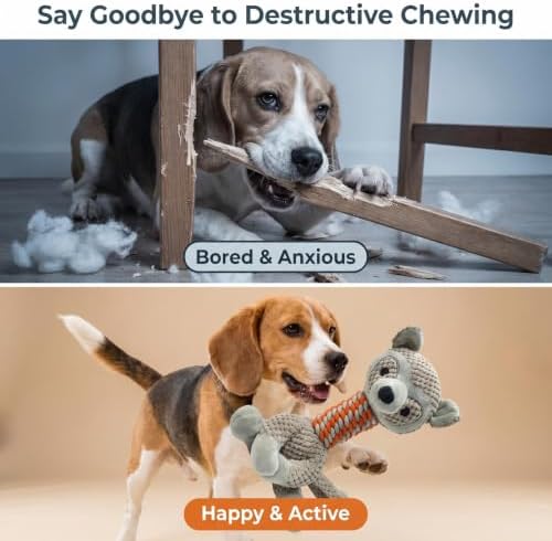 Indestructible Raccoon Plush Squeaky Dog Toy for Aggressive Chewers