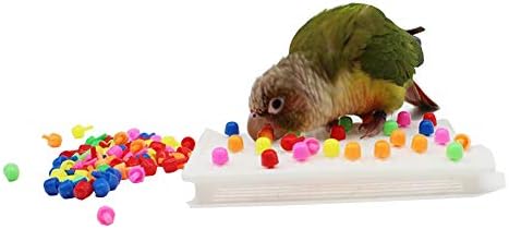 QBLEEV Parrot Puzzle Toys for Parakeets, Cockatiel & Conure - Bird Intelligence Training & Foraging Toys