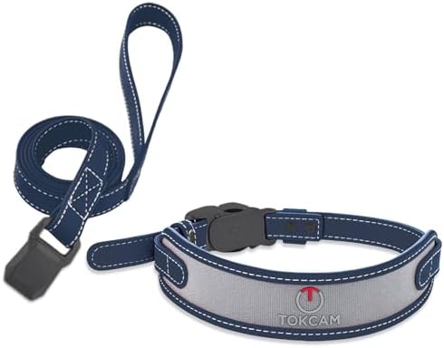 Magnetic Dog Collar and Leash Set with Quick Release Buckle, Easy On & Off Faux Leather Puppy Collar with 4FT Leash for Small, Medium Dog