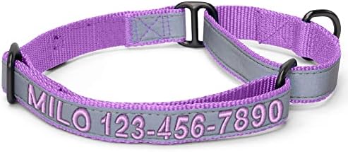 Pawtitas Customized Martingale Dog Collar Reflective Reflective Dog Collar Embroidered Personalized Name Phone Number Adjustable for Puppies Small Medium Large Size Dogs Large Orchid