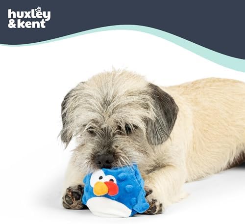 Huxley & Kent Funny Dog Toy w/Squeaker – Power Plush Squeaky Dog Toys for Small Dogs – Durable Small Stuffed Animal for Indoor Play & Fetch - Tiny Tuff Chicken Gordon Blue