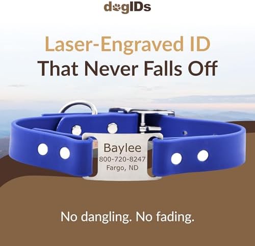 Dogids Personalized Dog Collar with Name Plate – Waterproof Biothane, Adjustable, Odor Resistant, Laser Engraved ScruffTag, Made in USA - Blue, 1 in x 18 in (Fits Neck Sizes 16-20 in)