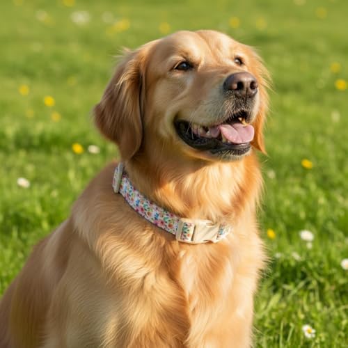 Dog Collar, Floral Girl Dog Collar with Pink Flowers, Cute Spring Summer Pattern for Girls Boys Small Medium Large Dogs, Soft Puppy Collar