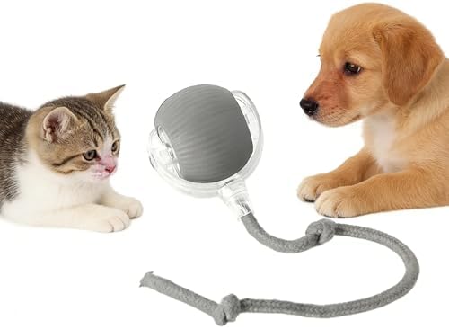 RightBliss Automatic Interactive Cat Dog Toy with Elastic Tail: Chirping Sound, Smart Obstacle Avoidance for Indoor Cats & Kittens(Gray)