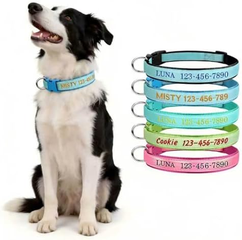 Personalized Dog Collars Glow in The Dark, Custom Embroidered Name & Phone Number Tags, Adjustable Luminous Collar for Small & Large Dogs (Fluorescent Glow)