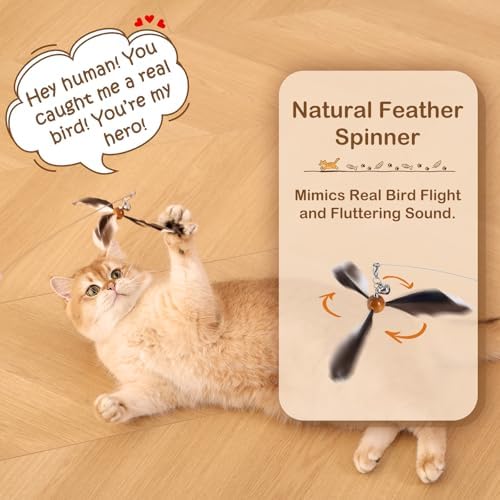 Retractable Cat Wand Toy with Spinning Natural Feather – Interactive Cat Teaser Wand for Indoor Cats, Adjustable Lightweight Cat Toy Wand with 4 Feather Refills - No String Version