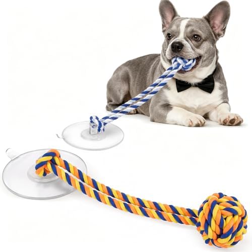 Dog Rope Toy with Suction Cup Interactive Tug of War Toy 2Pcs