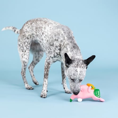 Fringe Studio Latex Dog Toy, Have A Hoppy Easter, Petshop Collection (366072)