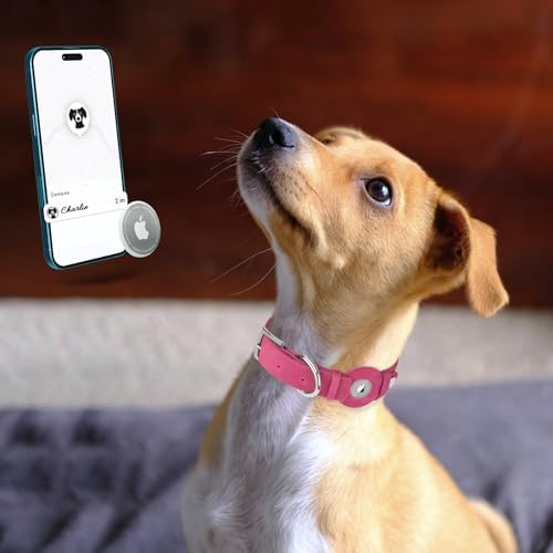 Leather Dog Collar with Airtag Holder - Apple Air Tag Dog Collars - Soft Tracking GPS Pet Collar for Small Medium Large Dogs Breed Puppy (Pink, M, 12"-15" Neck Fit)