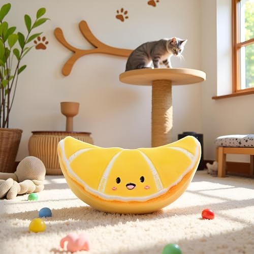 Orange Soft Fruit Series Catnips Cat Toy Interactive Gifts Fish Catnip Toys Doll Simulation Fruit Toy Catnip Toys for Pet