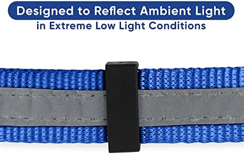 Pawtitas Blue Chain Martingale Dog Collar, Large